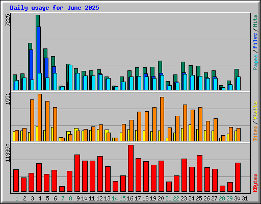 Daily usage for June 2025