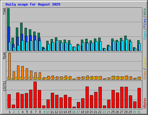Daily usage for August 2025