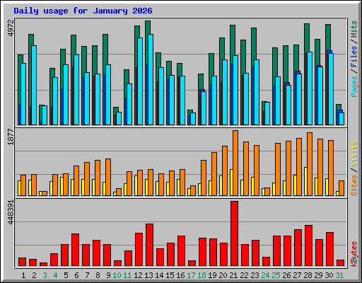 Daily usage for January 2026
