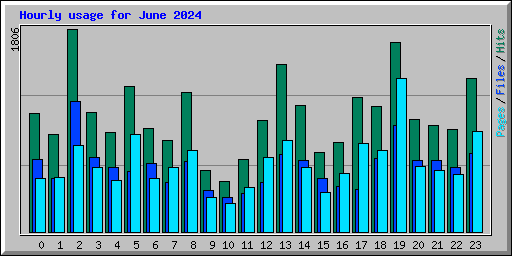 Hourly usage for June 2024