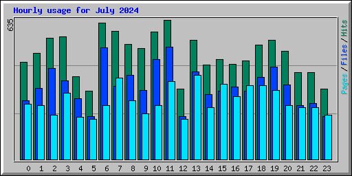 Hourly usage for July 2024