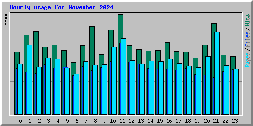 Hourly usage for November 2024