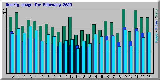 Hourly usage for February 2025