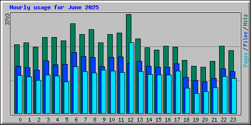 Hourly usage for June 2025