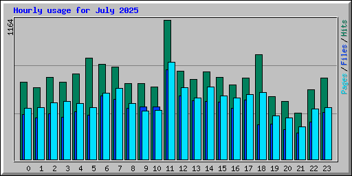 Hourly usage for July 2025