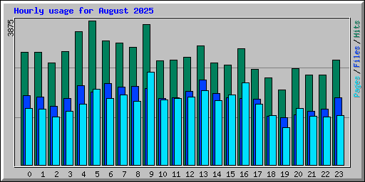 Hourly usage for August 2025