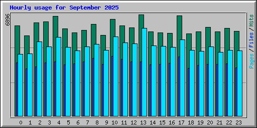 Hourly usage for September 2025