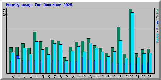 Hourly usage for December 2025