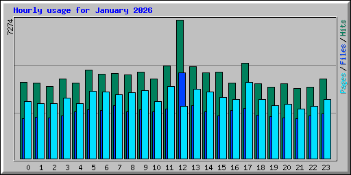 Hourly usage for January 2026