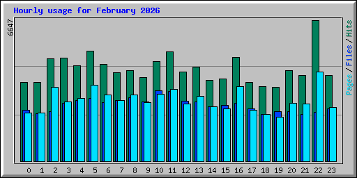 Hourly usage for February 2026