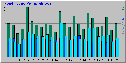 Hourly usage for March 2026
