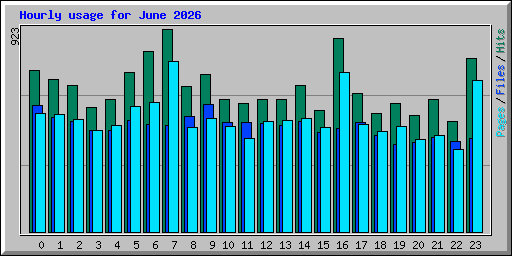Hourly usage for June 2026