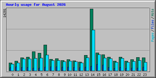Hourly usage for August 2026